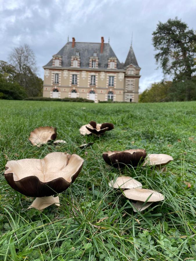 Nogent-sur-Vernisson Chateau De Praslins المظهر الخارجي الصورة